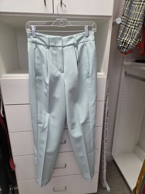 Express Mint Green Tailored Dress Pants